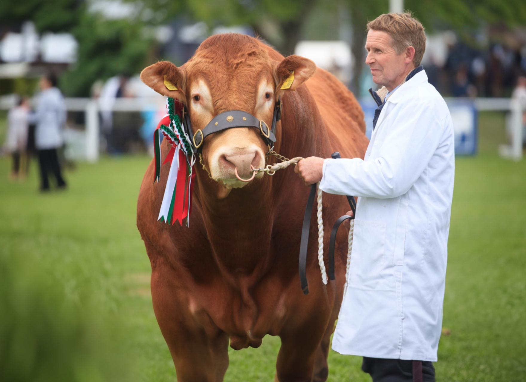 Nottinghamshire County Show