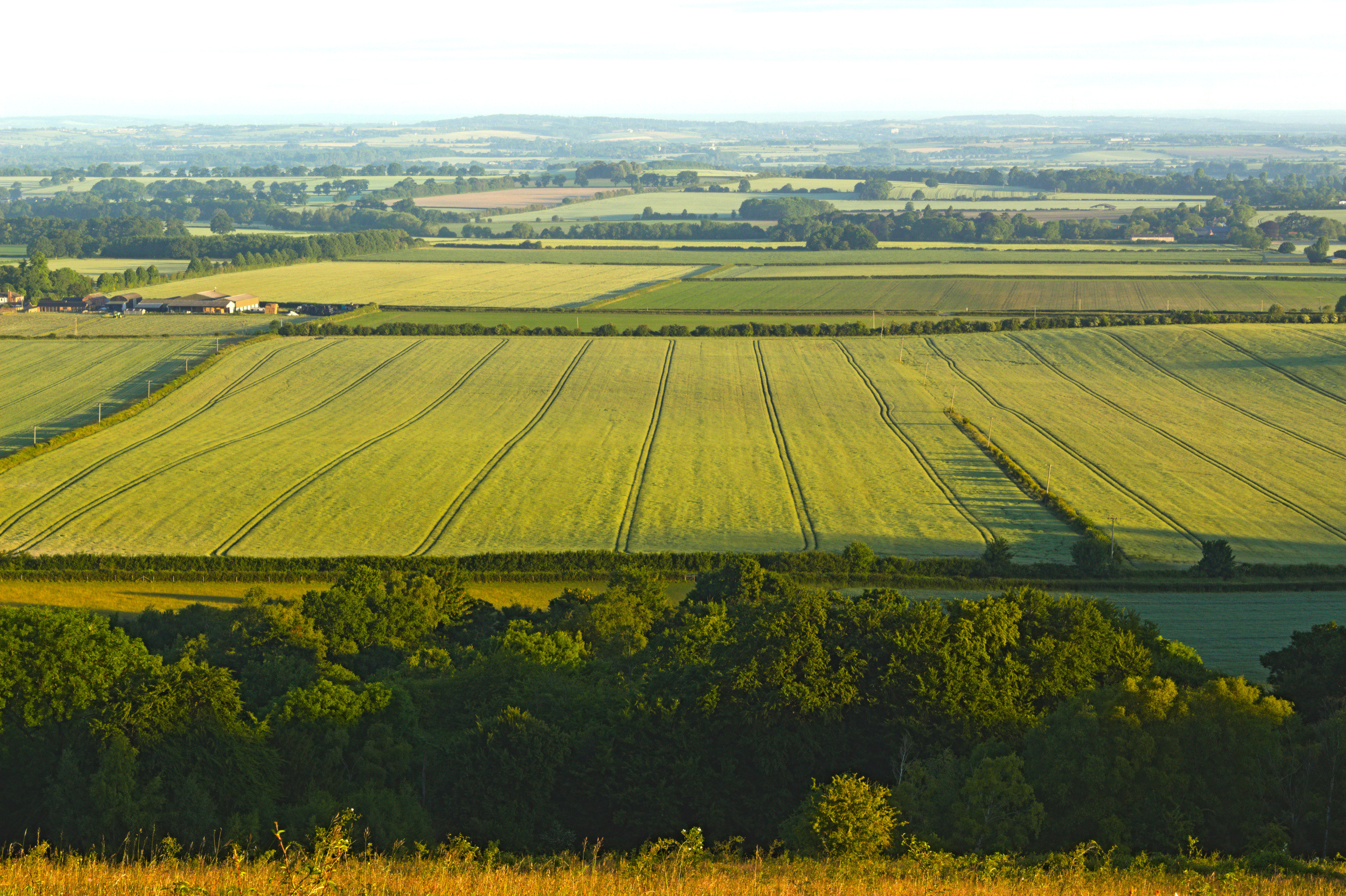 farmland