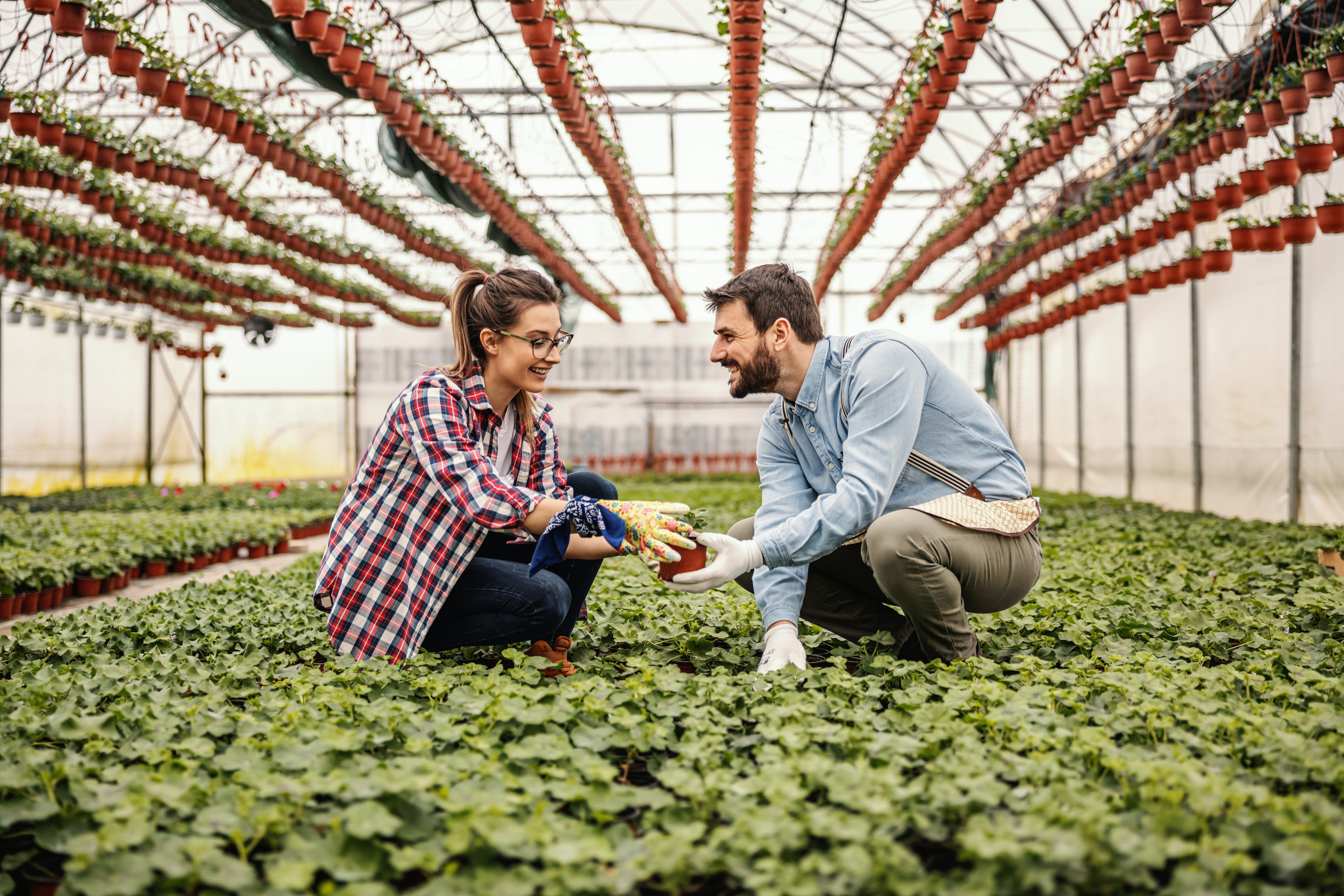 farmers inside nursery greenhouse