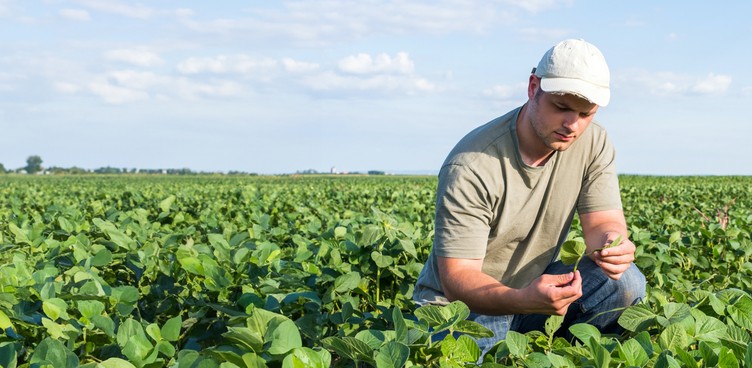 Farmer in a field