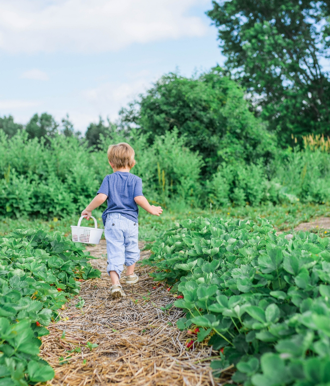 Growing your own