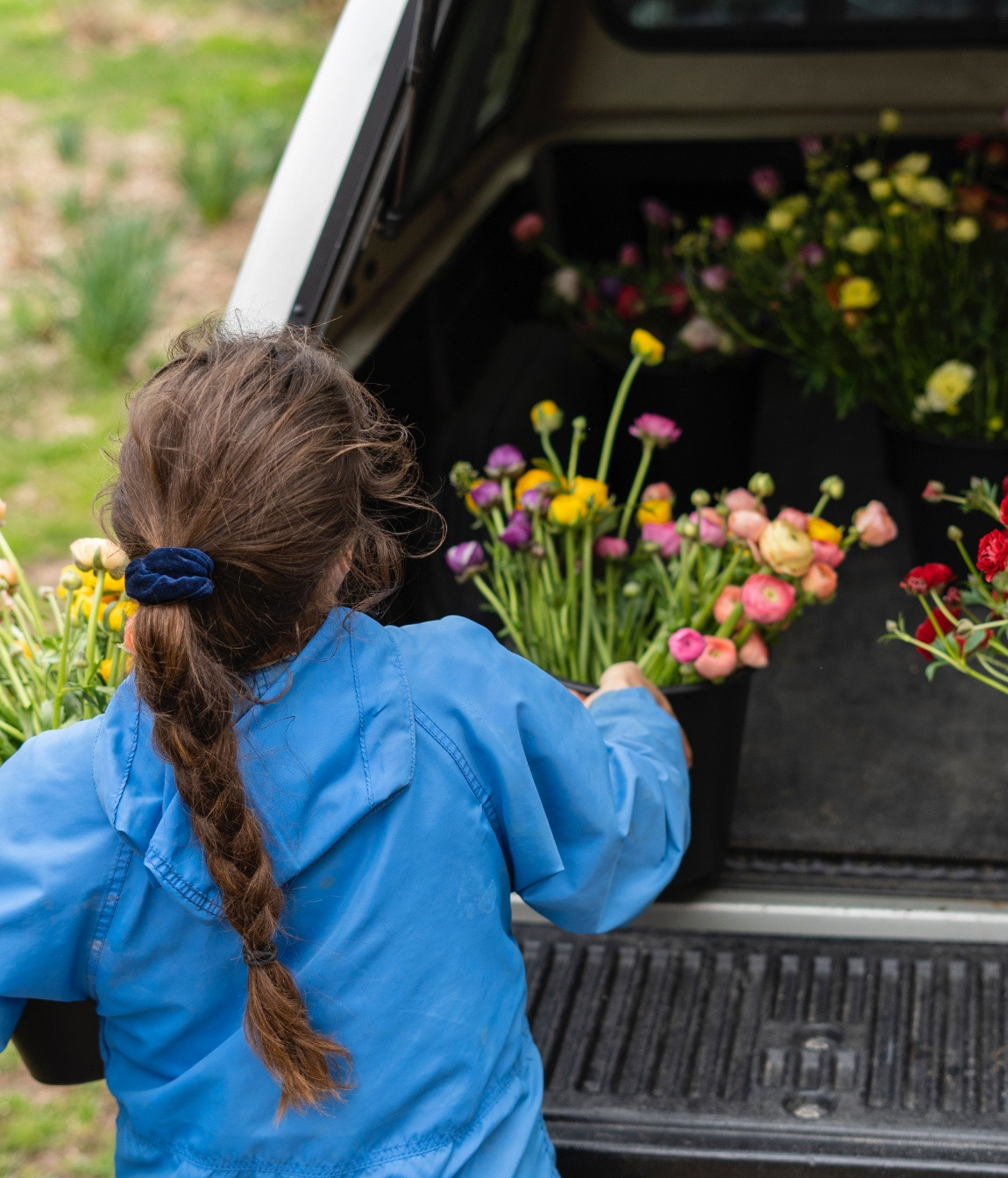 Woman loading flowers into a car
